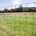 Electro Galvanized Cattle Field Fence Hog Wire Fence